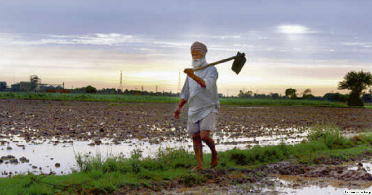 Farmers in flood-hit Punjab prop each other up with free seeds